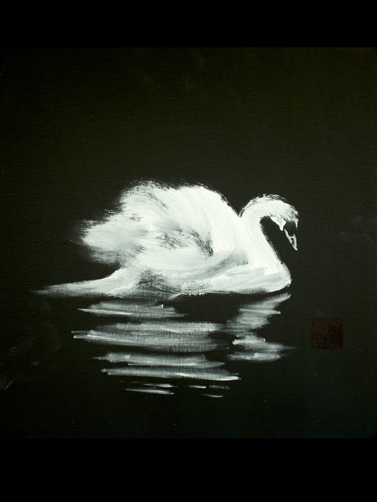 The Swan
