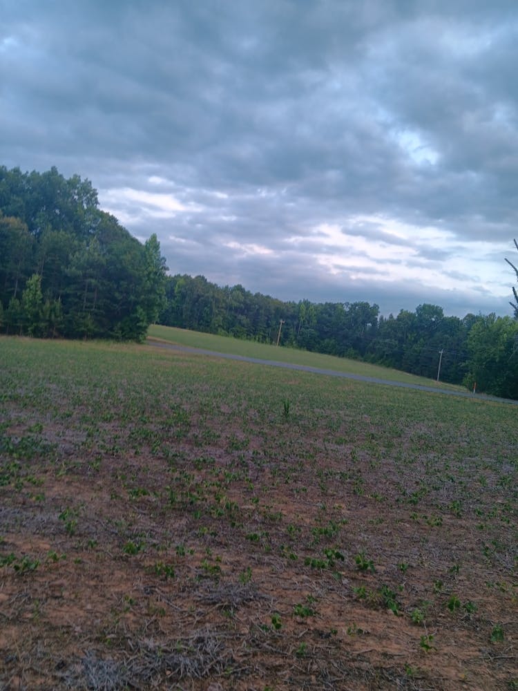 Empty Field