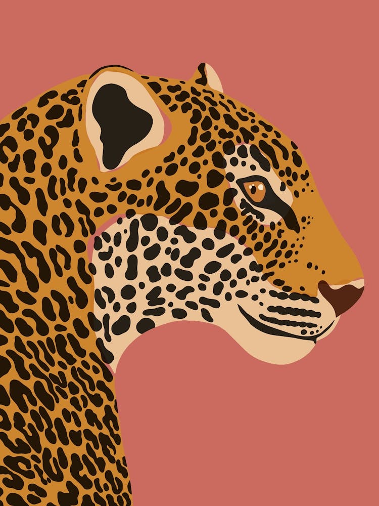 Jungle Safari Leopard on Rose