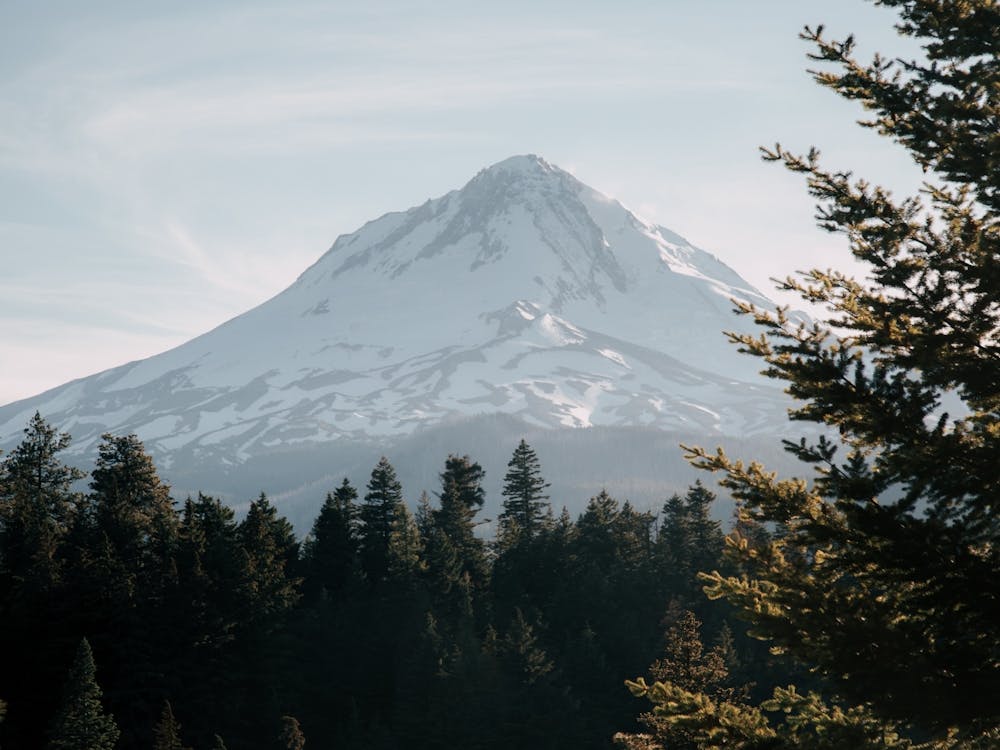 Mount Hood National Forest