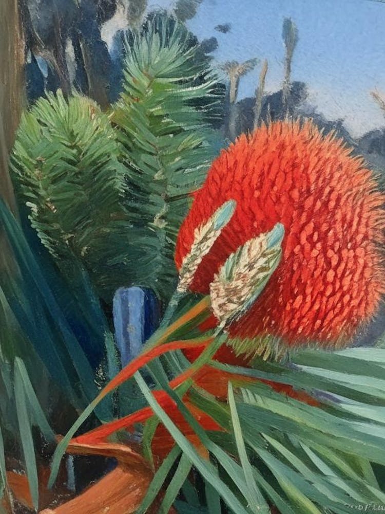 Pincushion Hakea Fern Cézanne Style