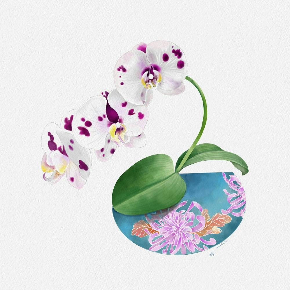 Orchid Artprint
