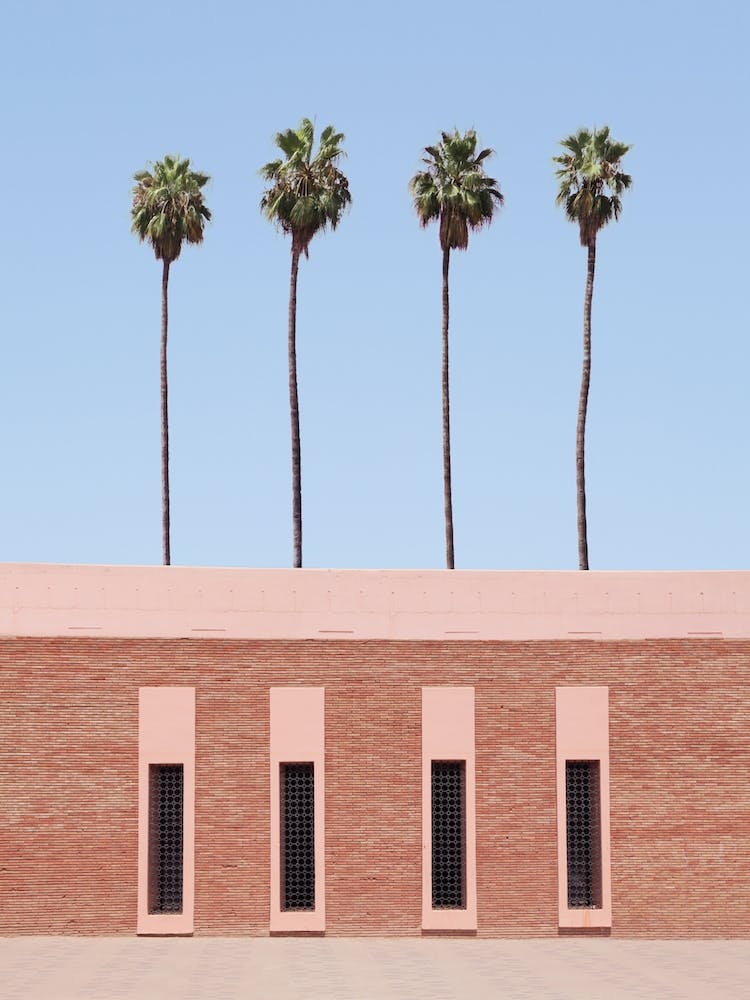Palm Tree Factory