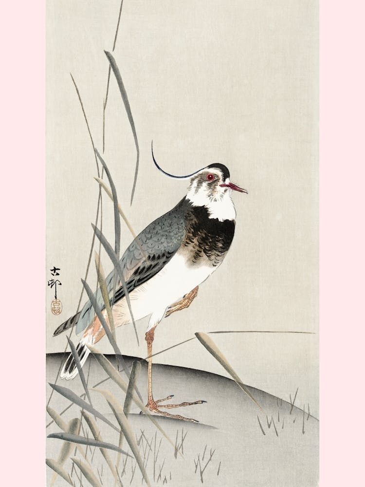 Lapwing And Reed, Ohara Koson (1900 1930), Ohara Koson
