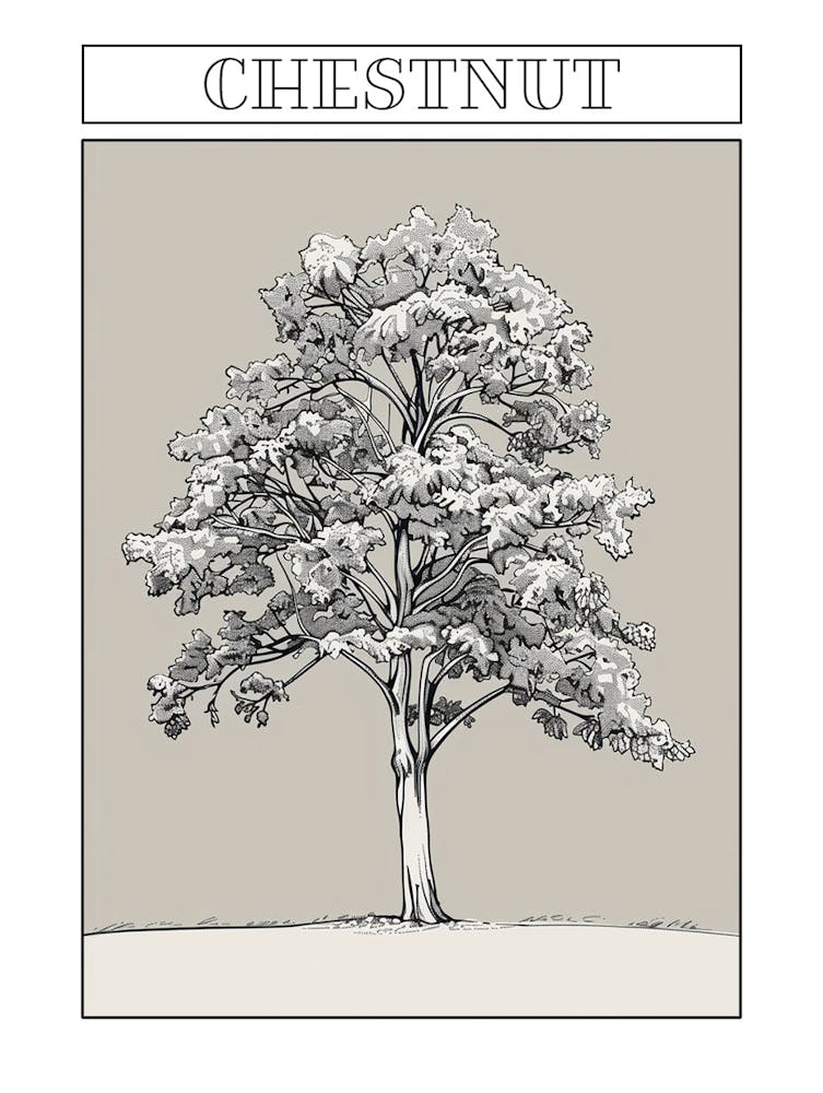 Chestnut Tree Minimalistic Drawing 1 Poster