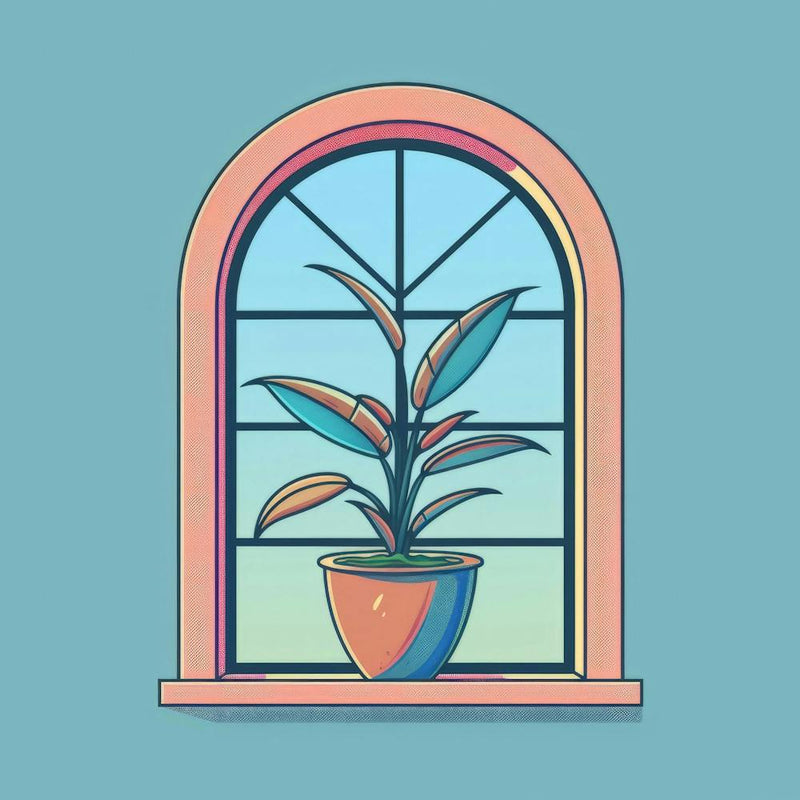 Window With Potted Plant