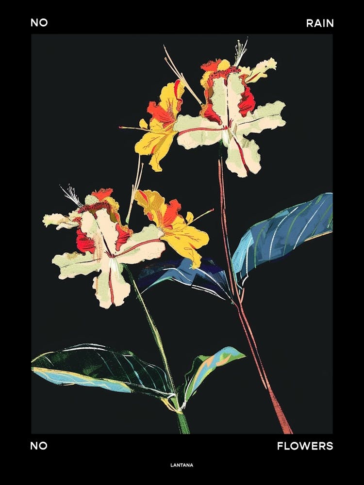 No Rain No Flowers Poster Lantana 4