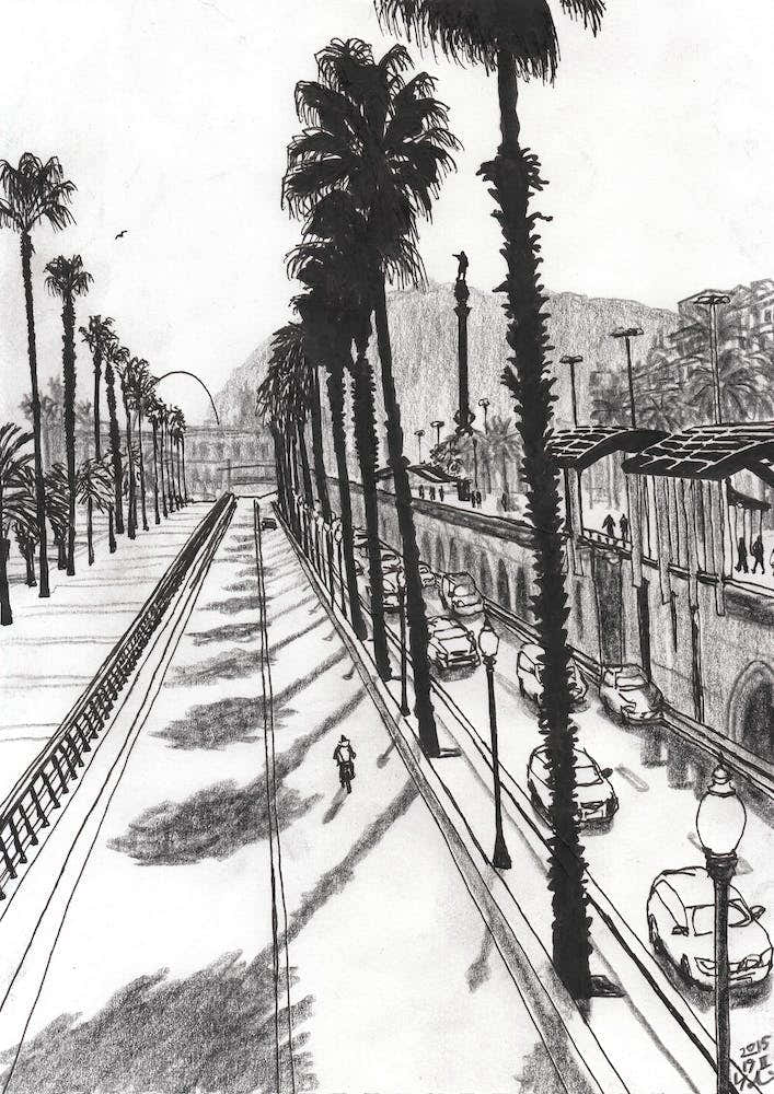 Palm Trees Making Shadows