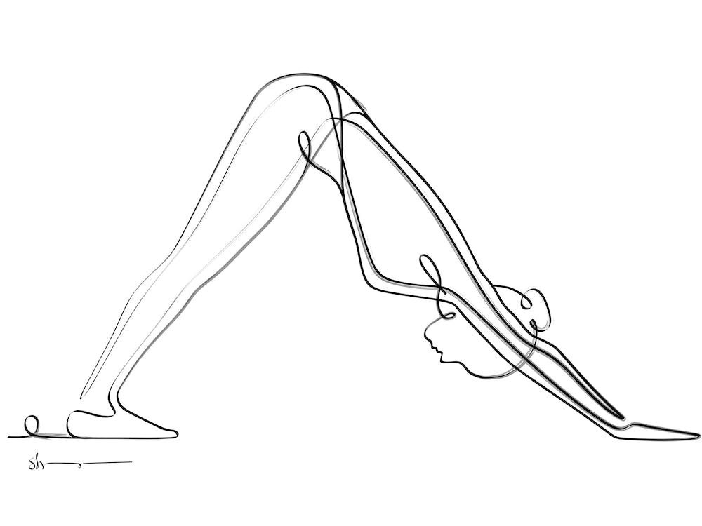 Downward Facing Dog Complete