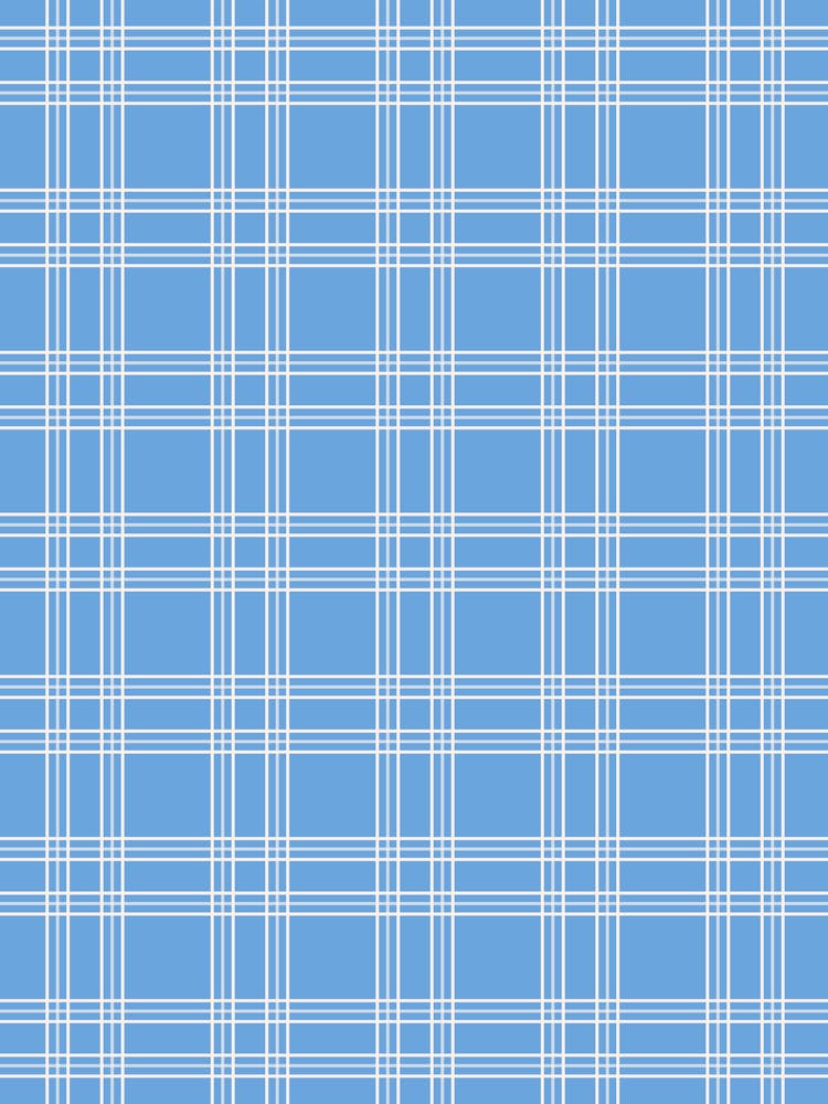 Preppy Blue Gingham