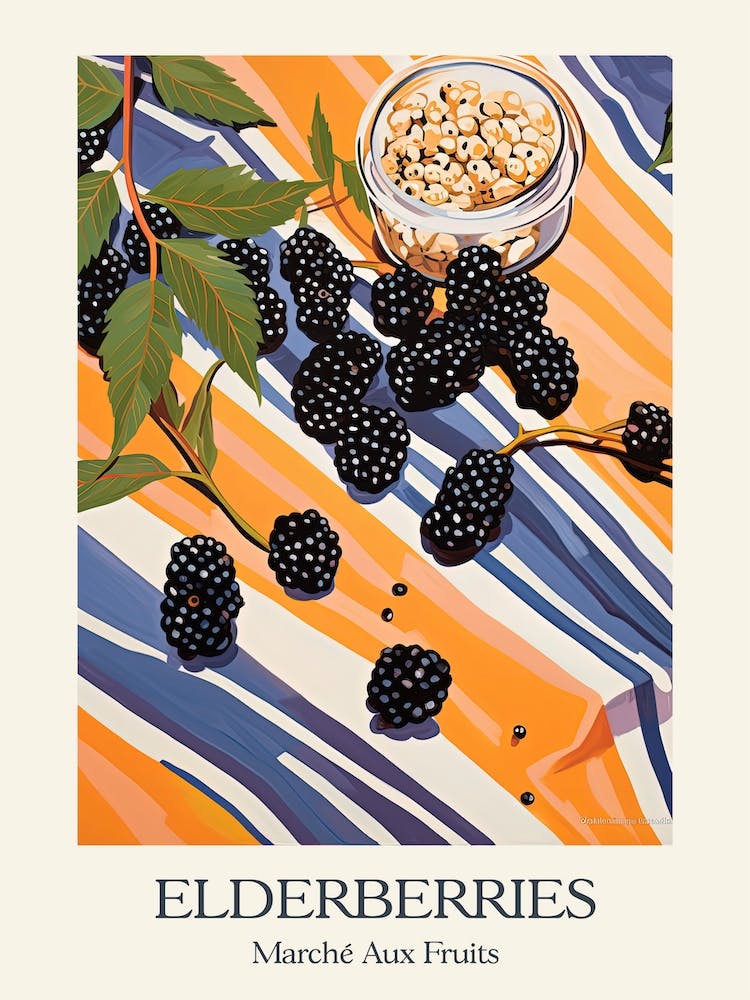 Marche Aux Fruits Elderberries Fruit Summer Illustration 1