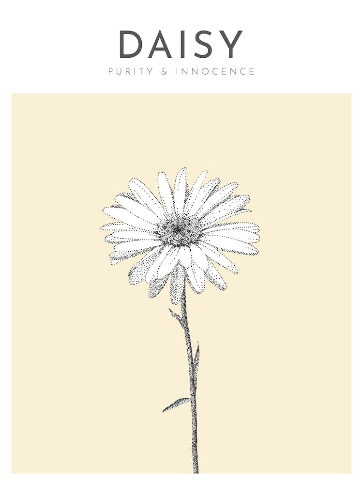 Daisy Print Modern Flower Poster Bamber Prints