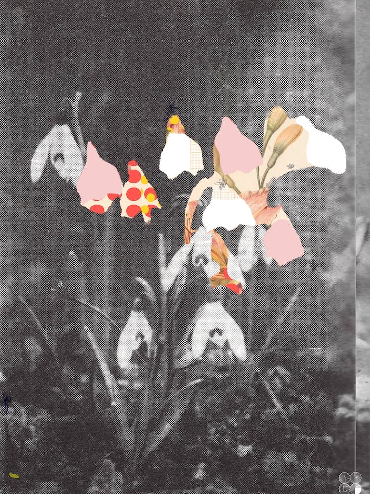 Flowers Still Life, Happy Abstraction 3