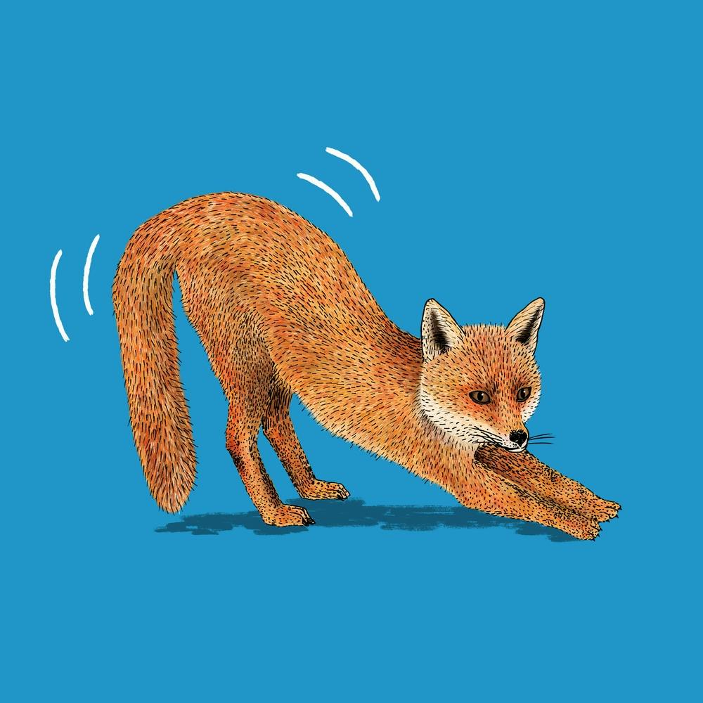 Foxy Fox Square