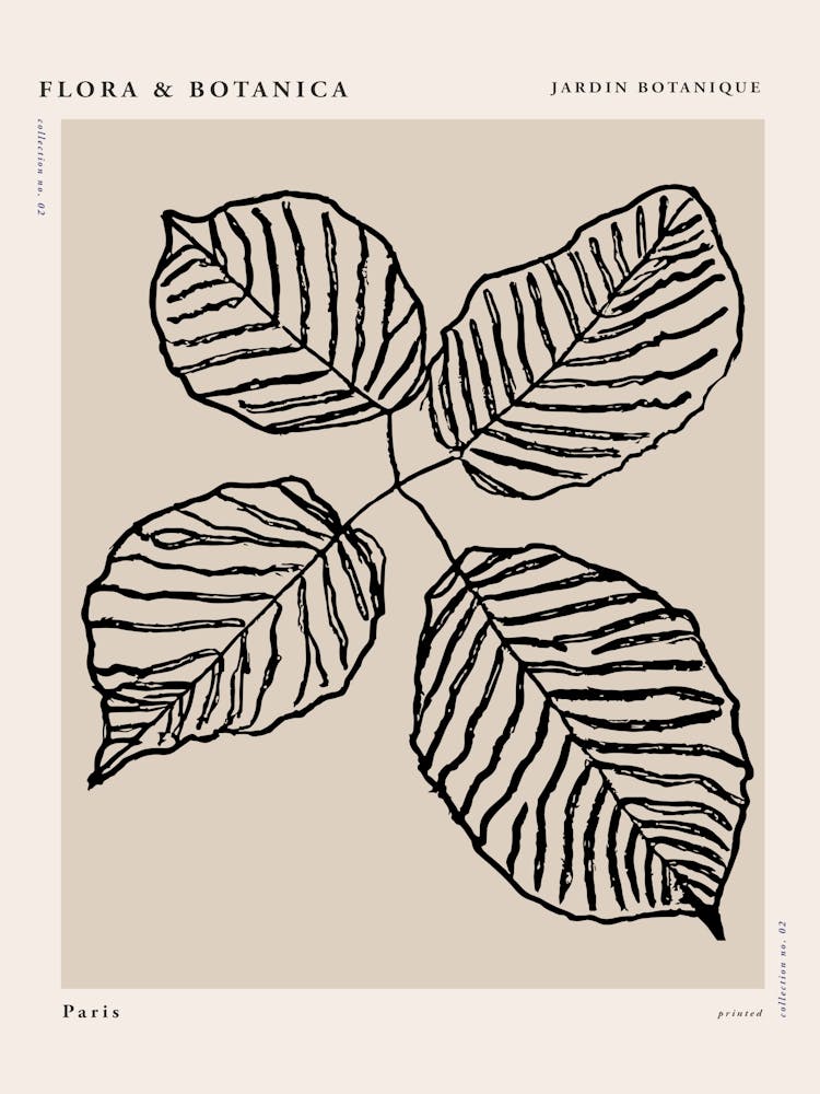 Flora botanica line no 07