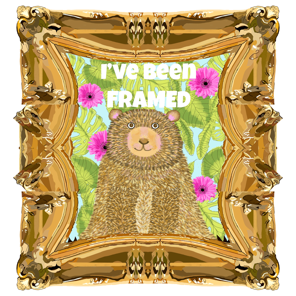 I'Ve Been Framed