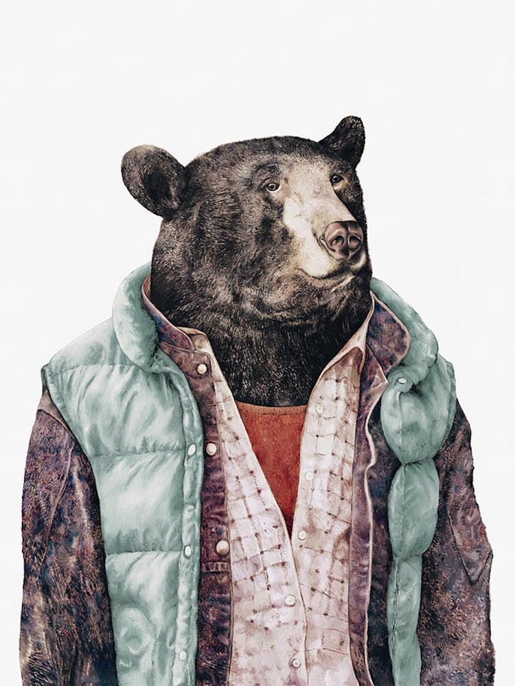 Bear In Vest Canvas Print Black Bear Funny