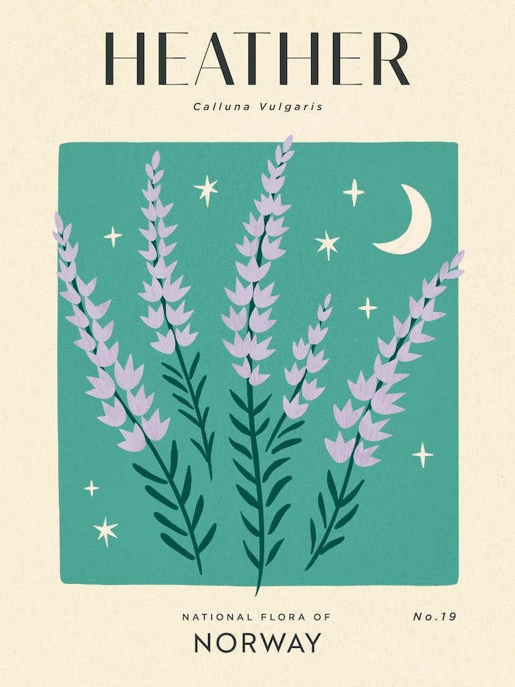 Fleur de Bruyère Verte et Violette Vintage de Norvège