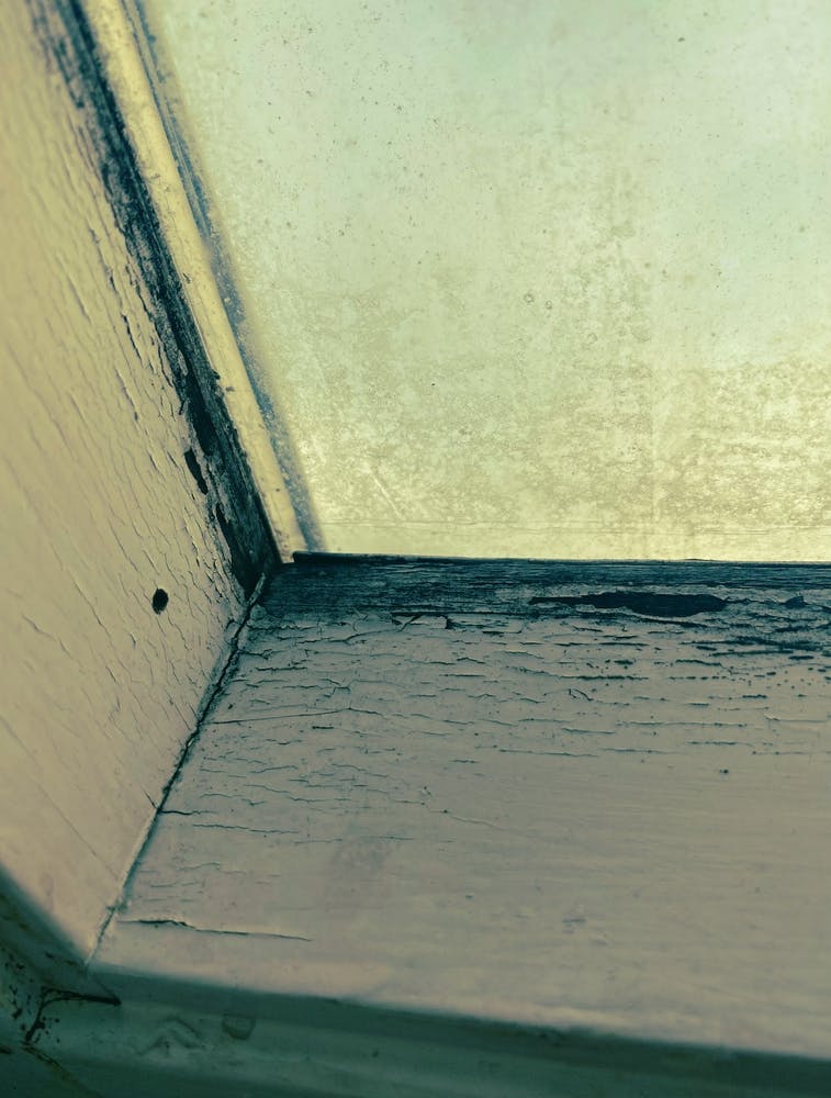 Window Sill
