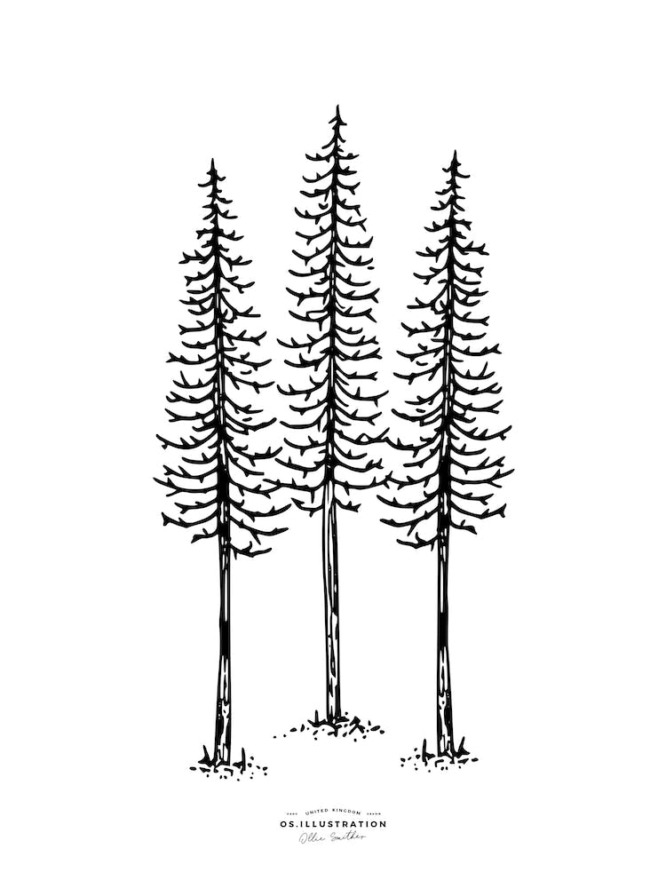 Lonely Pines Fineline Illustration