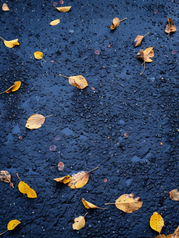 Autumn Leaves On The Road 1