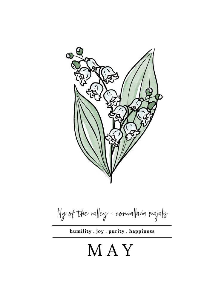 May Lily Of The Valley Birth Flower 1