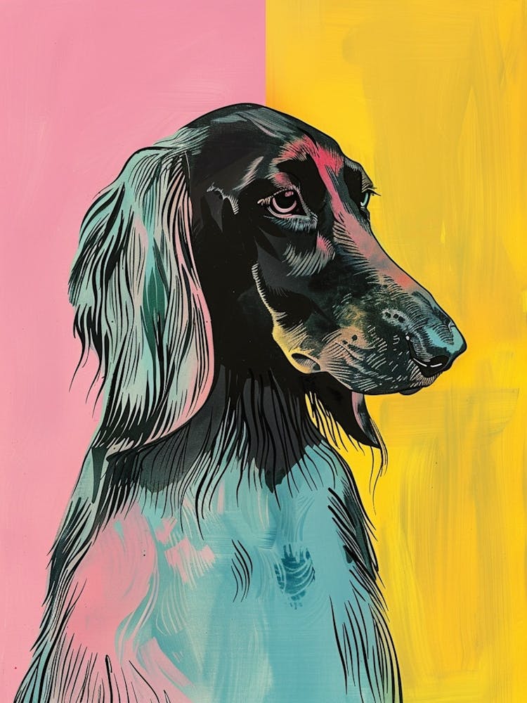 Afghan Hound Dog Colourful Illustration