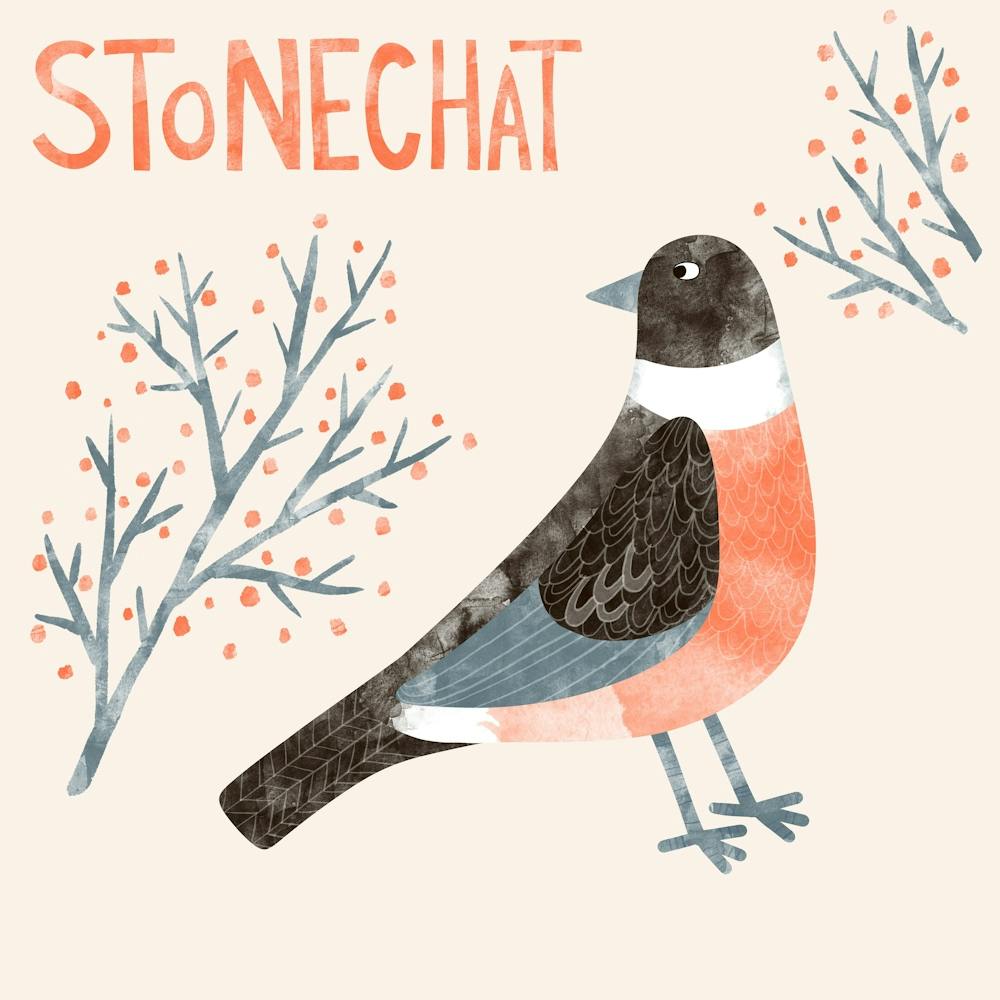 Stonechat Bird