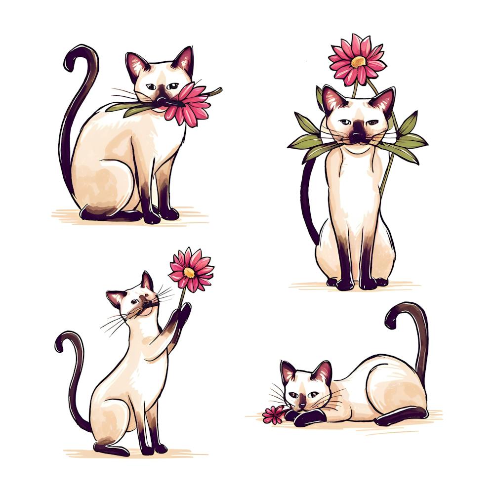 Eine charmante und verspielte Illustration einer Siamkatze in vier verschiedenen Posen, 1
