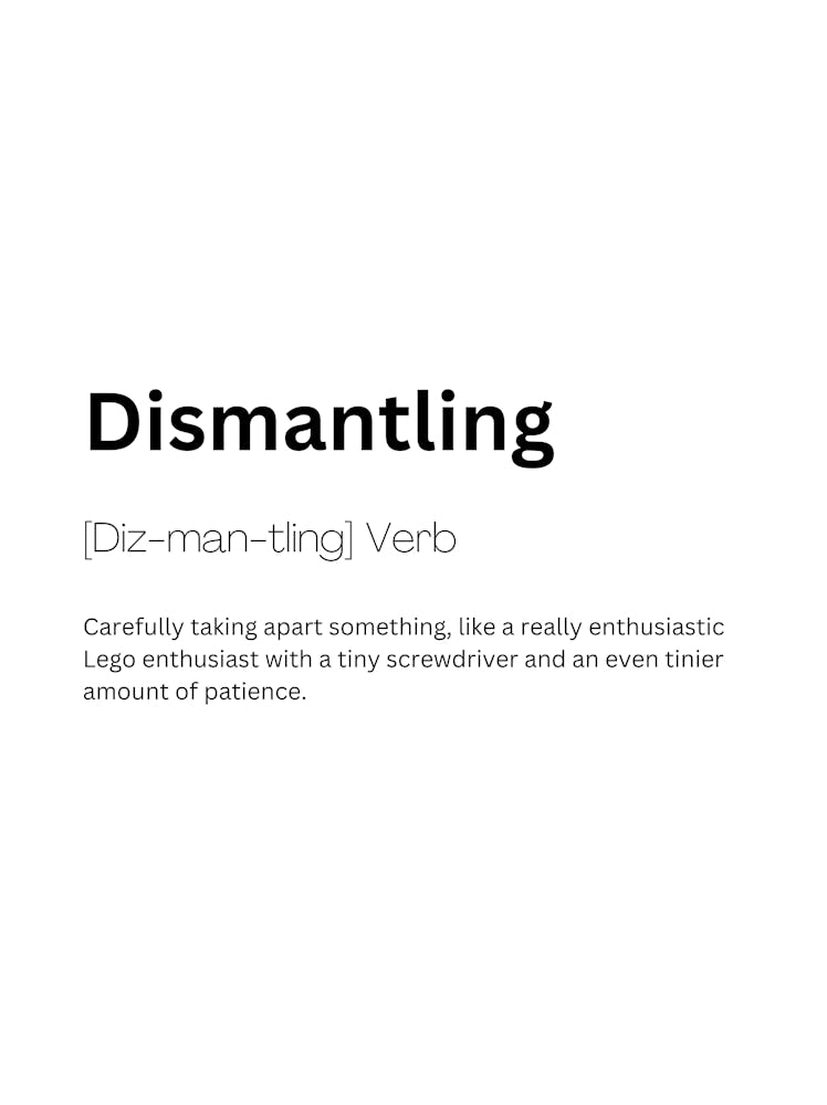 Dismantling Definition Meaning 1