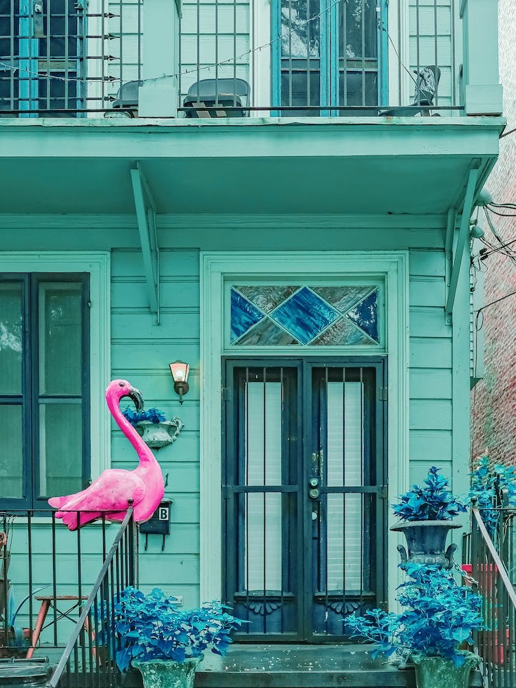 Pink Flamingo House