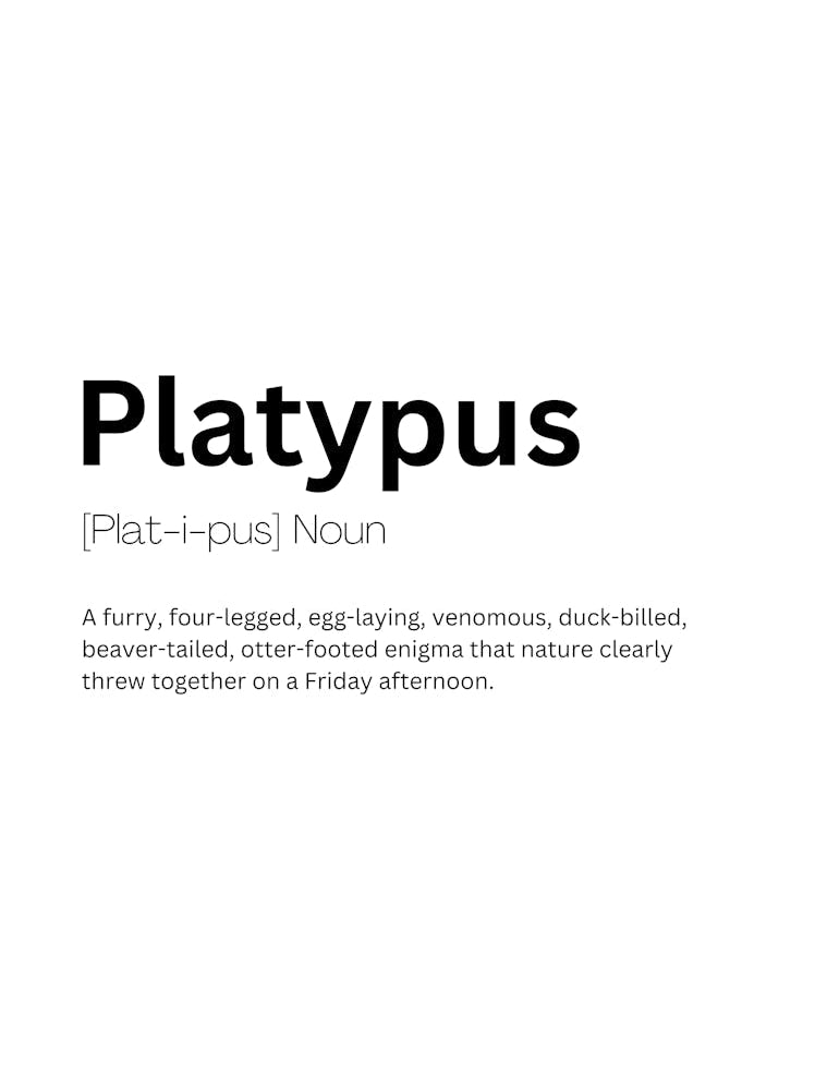 Platypus Definition Meaning