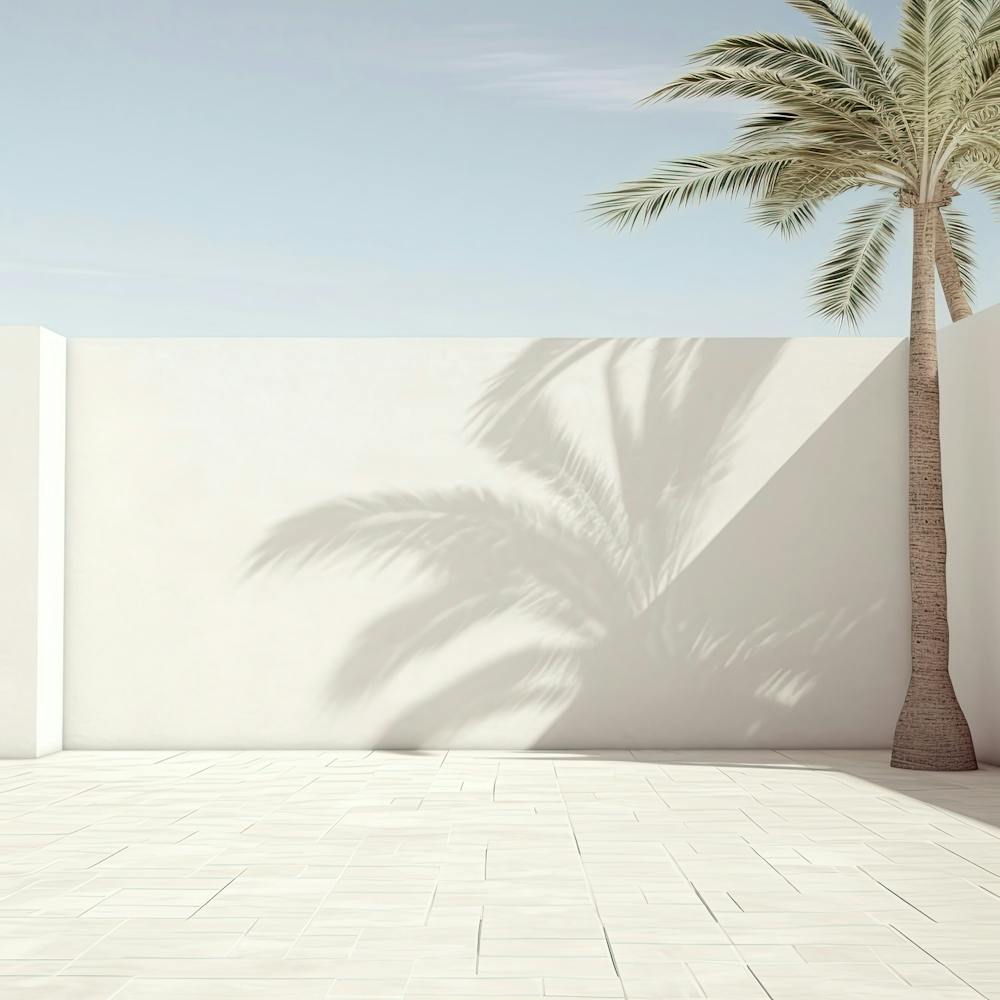 White Wall With A Palm Summer Photography
