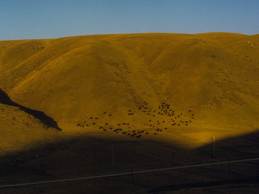 Tibetan Plateau Mountain In Golden Sunset
