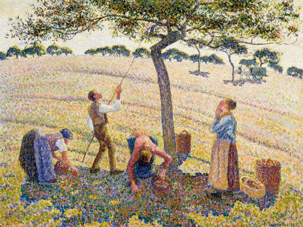 Apple Harvest (1888), Camille Pissarro