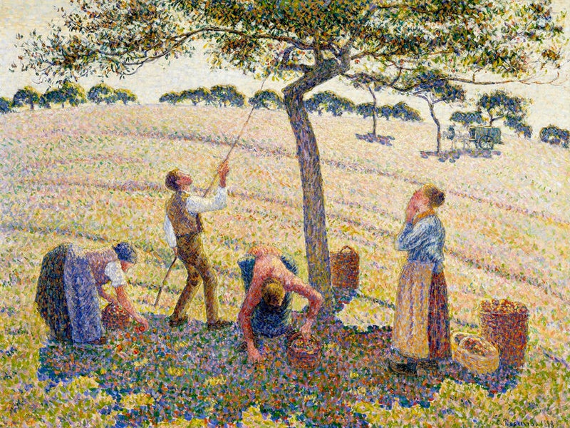 Apple Harvest (1888), Camille Pissarro