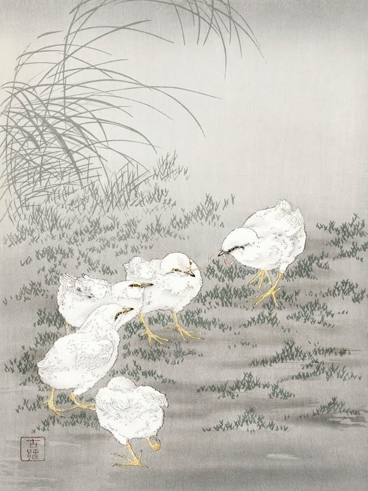 Fünf Küken (1900 1936), Ohara Koson