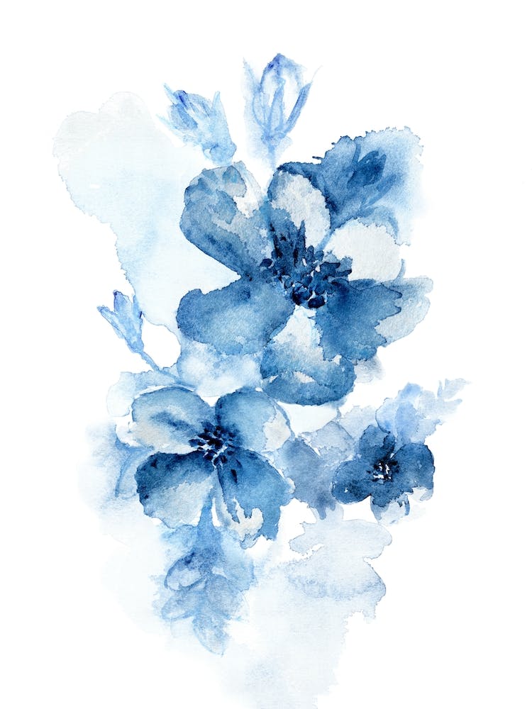 Watercolor Flowers 'Indigo II' , Aga Szafranska