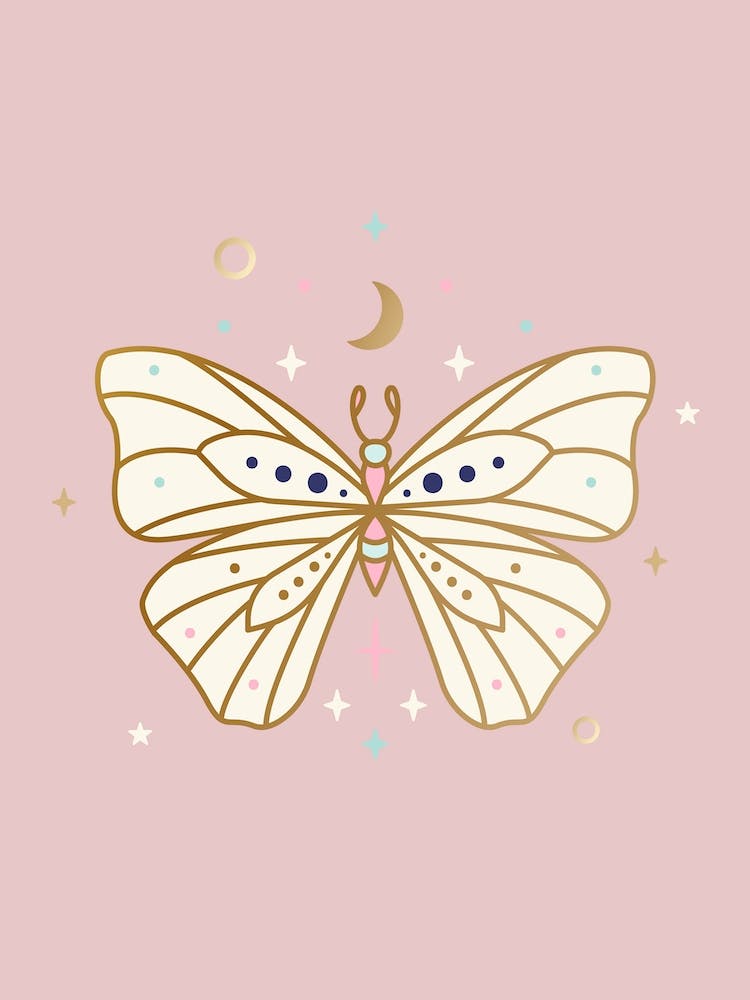 Butterfly On Pink