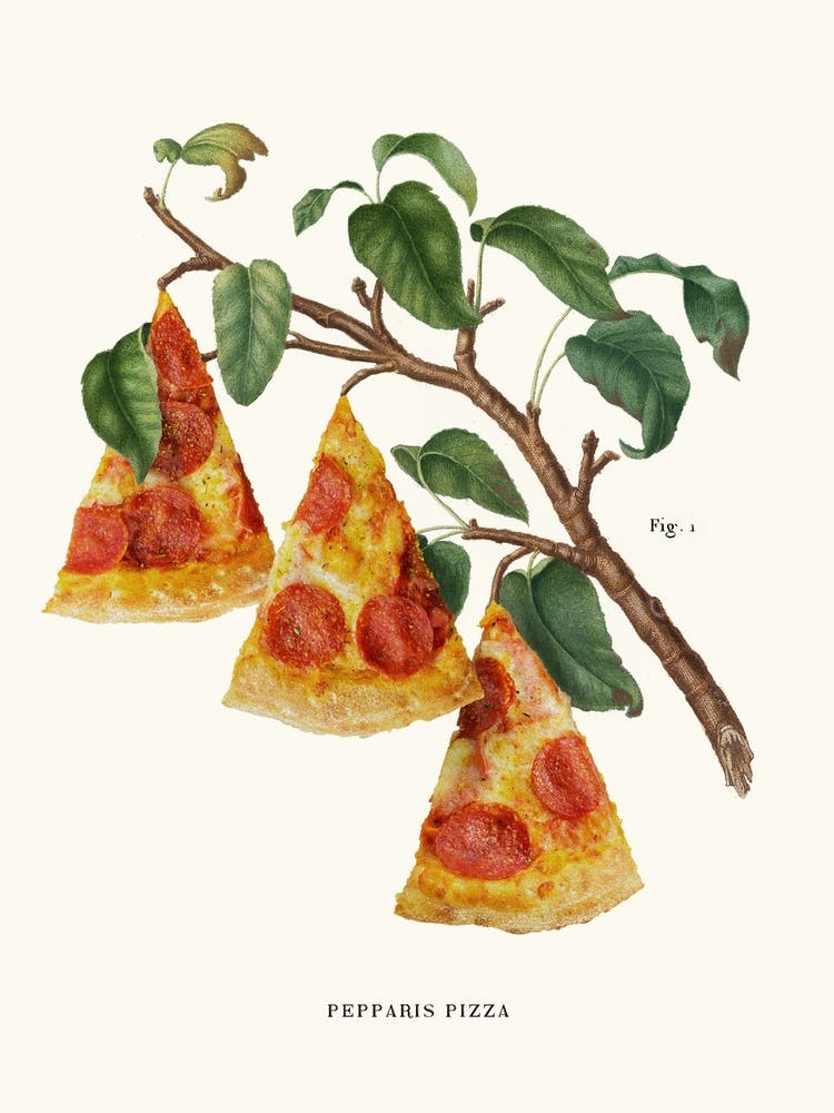 Pizza Plant Kitchen