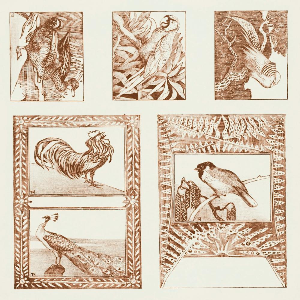 Test Sheet For Postcards With Birds (1878–1917) By Theo Van Hoytema