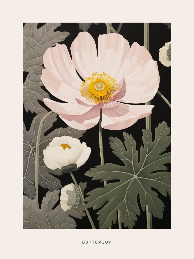 Flower Illustration Buttercup 1 Poster