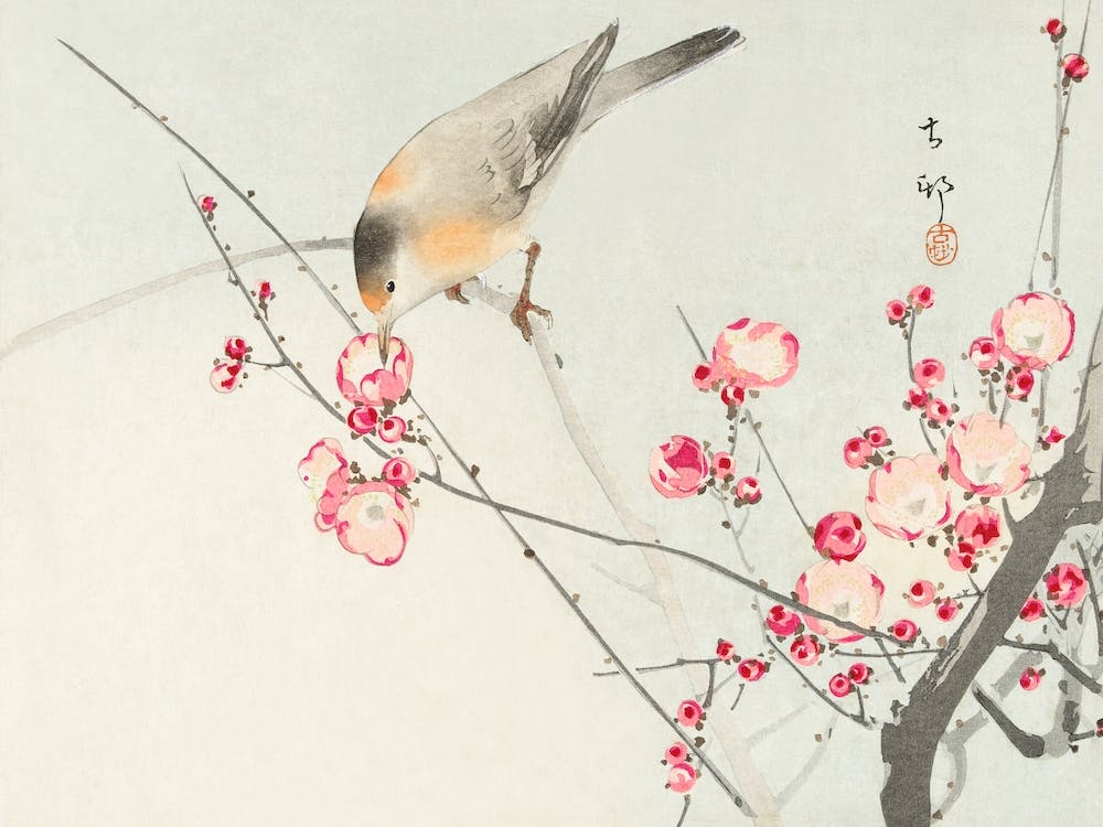 Songbird On Blossom Branch, Ohara Koson