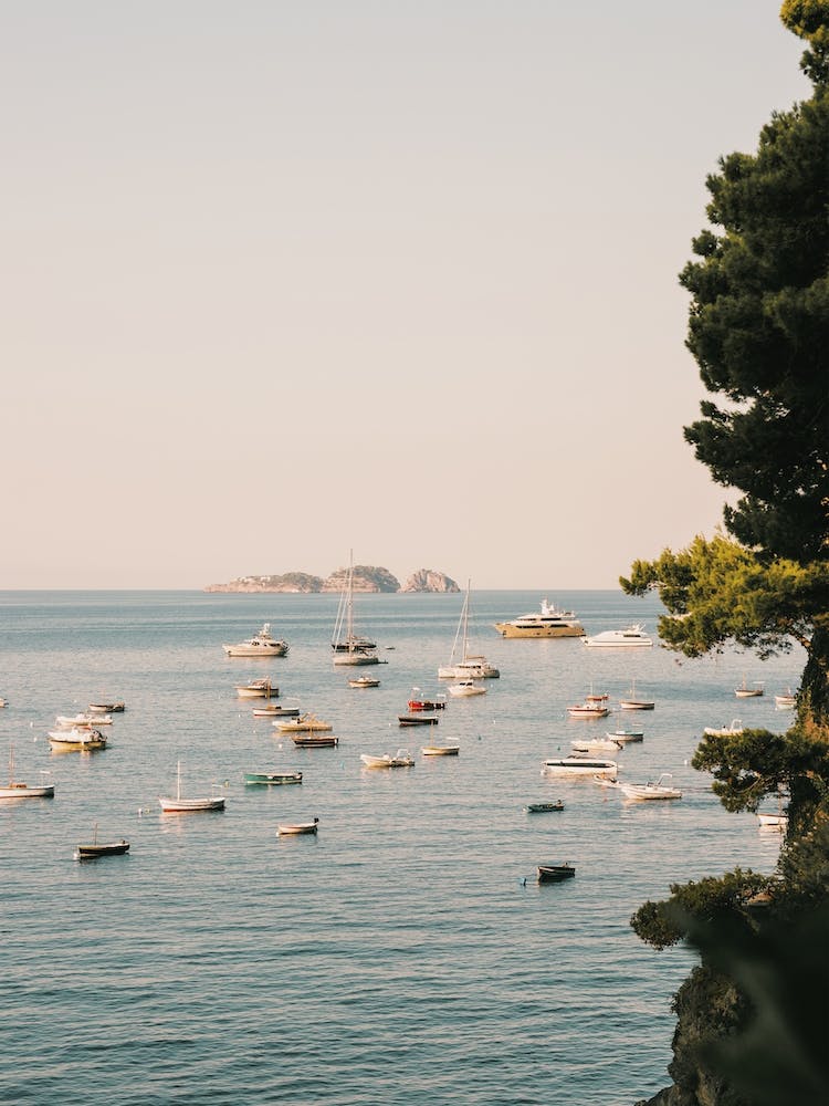 Boats In The Harbour