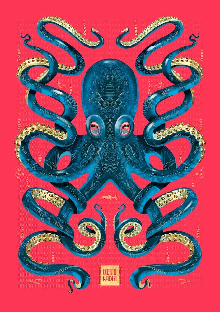 Octopus Magenta And Blue