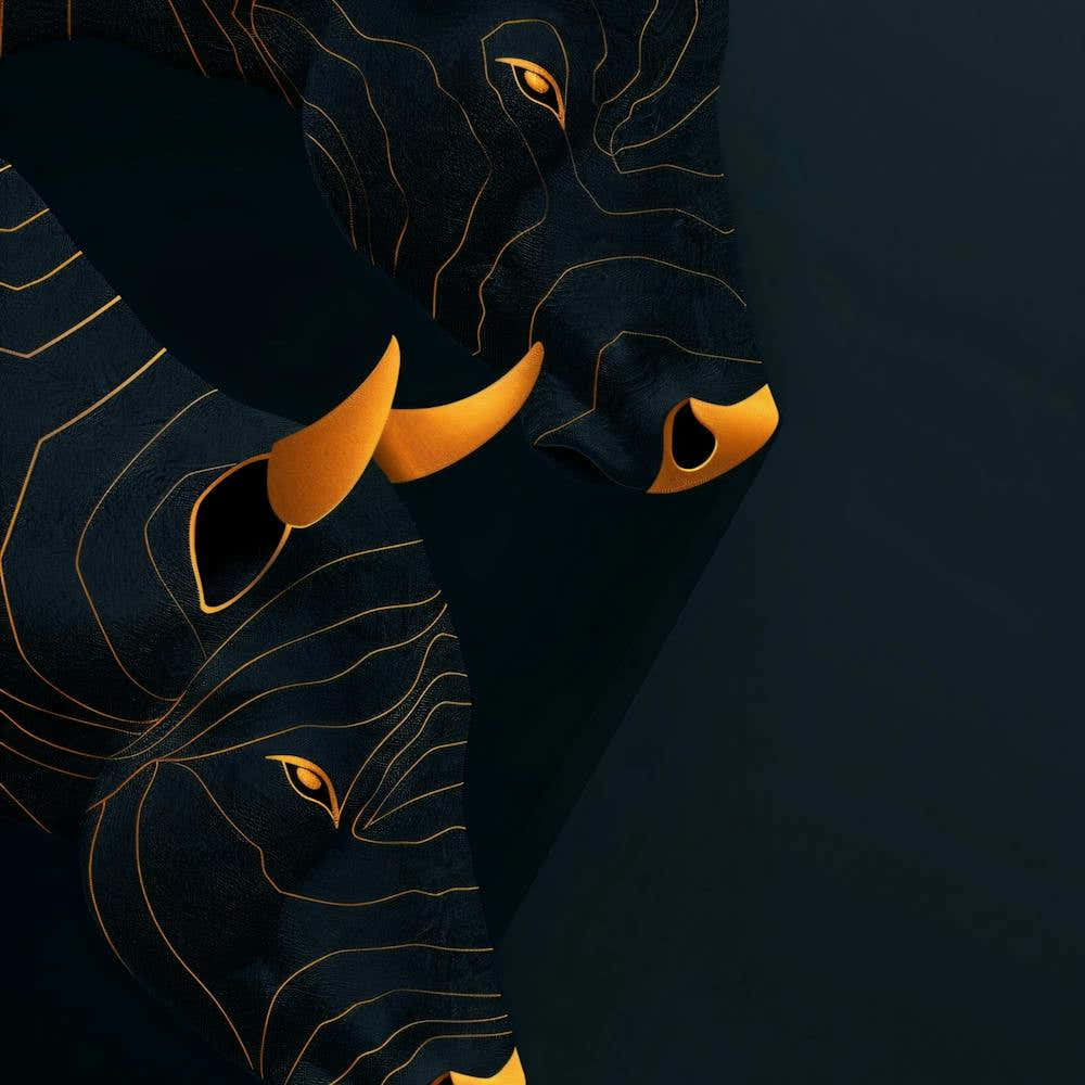 Bulls On Black Background