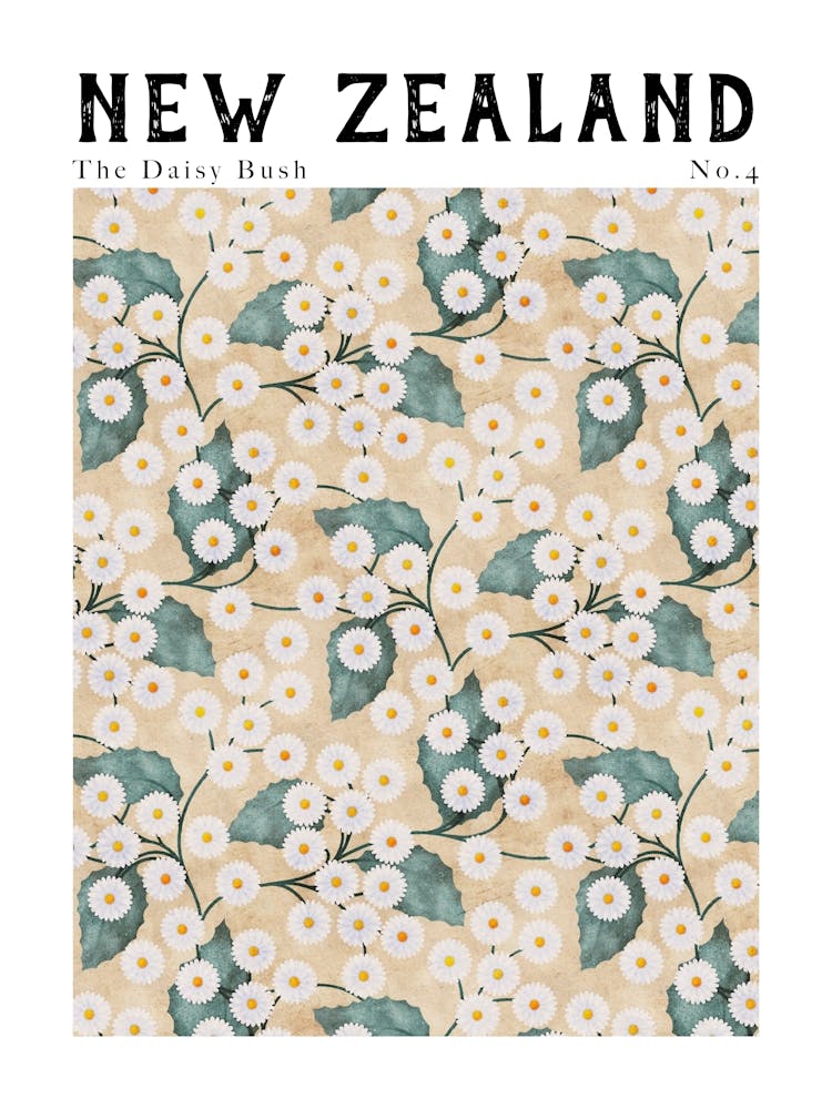 Motifs floraux de Nouvelle-Zélande | Arbuste de marguerite