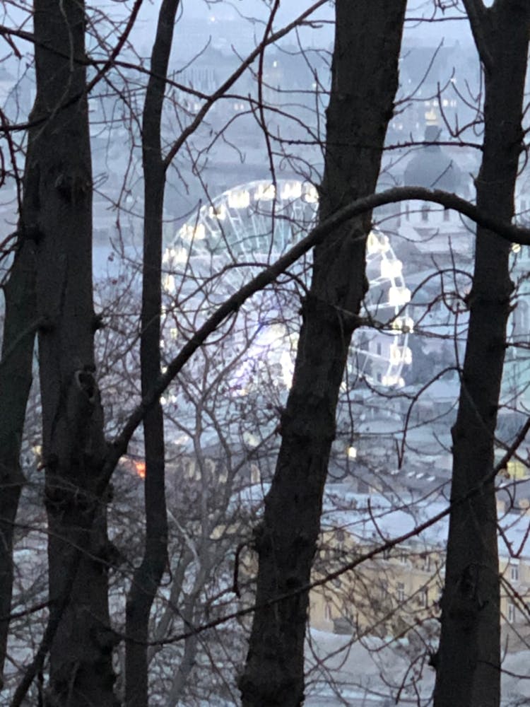 View Of The Ferris Wheel