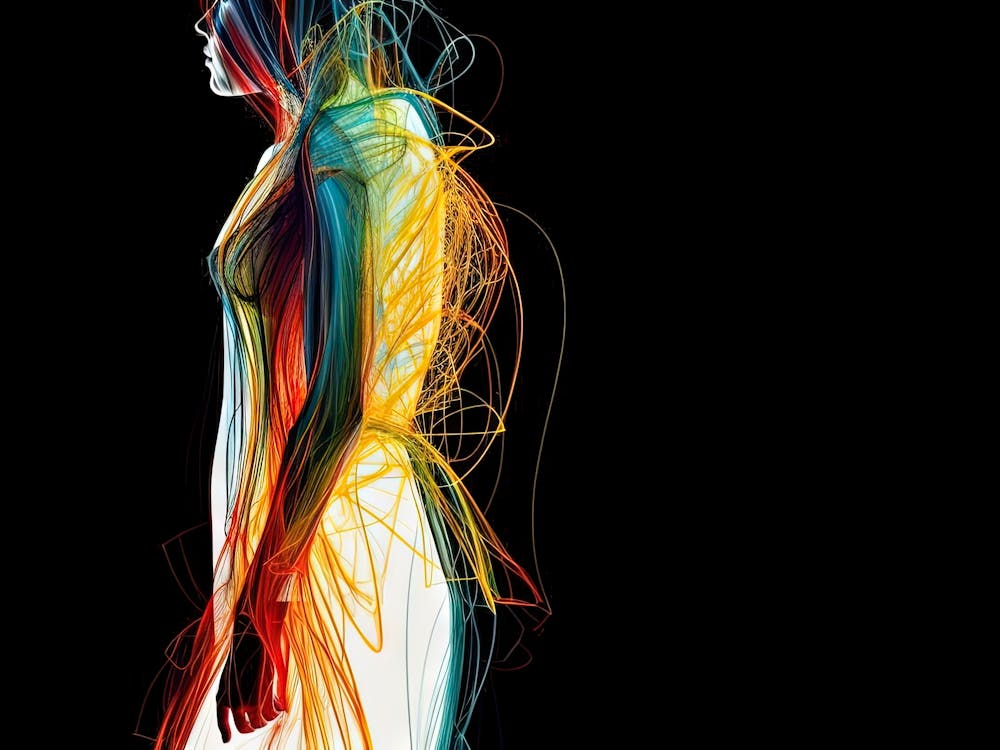 Human Body