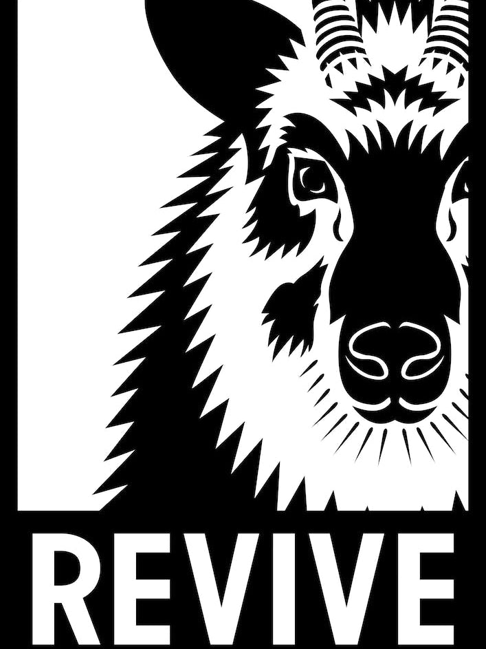 Revive Japanese Serow